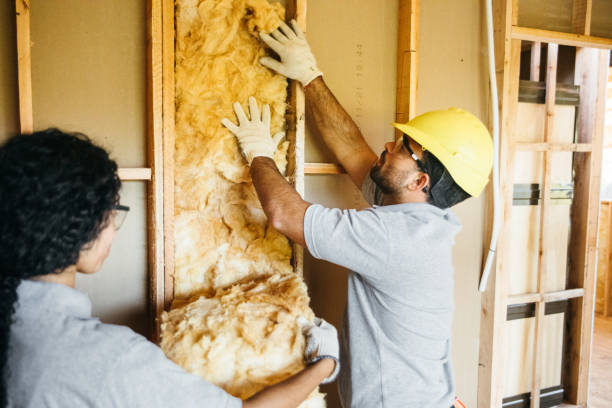 Types of Insulation We Offer in Lake Worth, TX