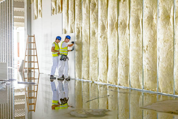 Best Insulation Air Sealing  in Lake Worth, TX